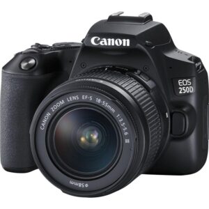 Canon EOS 250D + 18-55 DC III černý (3454C003)