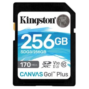Kingston Canvas Go! Plus SDXC 256GB UHS-I U3 (170R/90W) (SDG3/256GB)