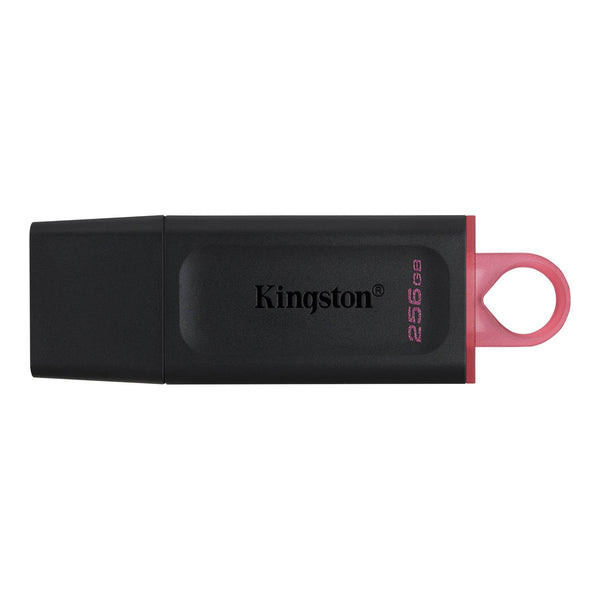 USB flash disk 256GB Kingston DT